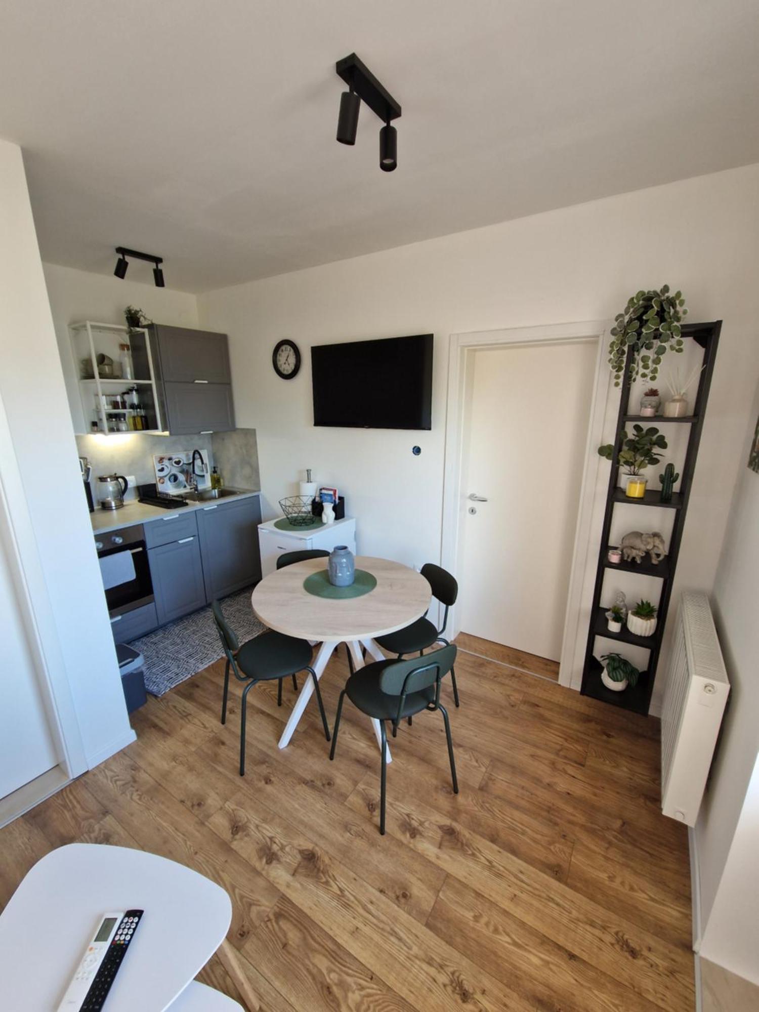 Roza 3 Apartment *